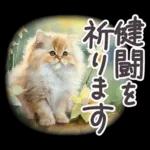 冬春 応援 水彩 ねことお花✿大人上品お花