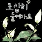 싱그러운 하루 메세지