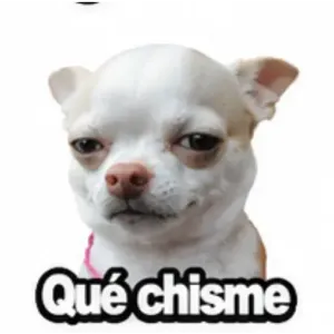 Qué chisme - getsticker.com