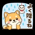 スタンプ・しば犬の梅雨だより
