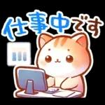毎日♡猫ちゃんず【連絡・今何してる？】