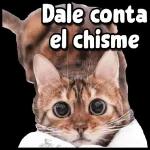 Dale conta el chisme
