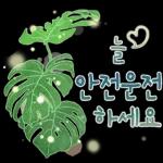 싱그러운 하루 메세지