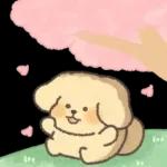 언제든좋아요