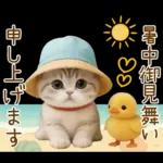 スコティッシュ猫 カラフル帽 夏 敬語