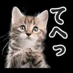 リアルな子猫ミーム（秋ハロウィン）