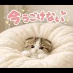 飛び出す♡やる気ないにゃんこ