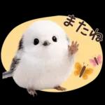 とってもかわいい♡シマエナガちゃん