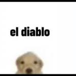 Arrr que riko