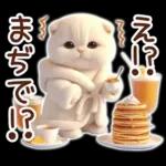 冬の猫のスコティッシュ【よく使う言葉】