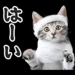 リアルな子猫ミーム（秋ハロウィン）