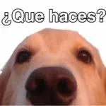 ¿Que haces?