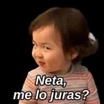 adultos 