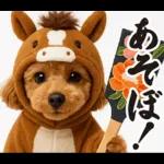 ウマの着ぐるみトイプードル【午年/2026】