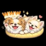 ブラン&プティ第2弾♡