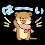 コツメカワウソ♡お正月（年末年始）再販