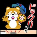 飛び出す！豆柴「野球と日常」