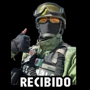 RECIBIDO - getsticker.com