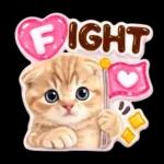 かわいい猫の写真 ぷくぷく