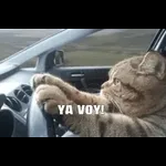 YA VOY!