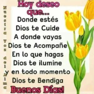 Hoy deseo que... Donde estés Dios te Cuide A donde vayas Dios te Acompañe En lo que hagas Dios te ilumine y en todo momento Dios te Bendiga Buenos Días! - getsticker.com