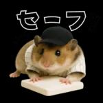 【新】リアル野球ハムスター