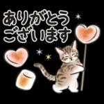 夏の毎日☆猫たちのスタンプ２