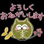 大人の気遣い19♡カラフル秋冬