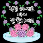 가정의 달 꽃 선물