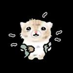 작아요 고먕이