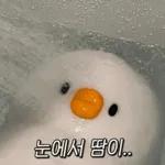 뭐 되는 베베와 멜롱이 짤.zip2