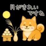 柴犬いっぱい♡豆しば♡秋＆冬