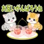 ころころ子猫と春スイーツ