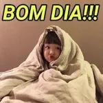 calma mimosa