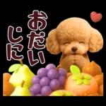 【秋冬】ずっと使える❤️日常会話 トイプー