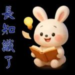 可愛白兔-實用短語