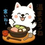 サモエドとぬくぬく日和