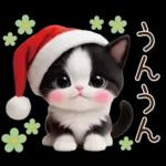 可愛いハチワレ猫 サンタ帽 冬 気づかい