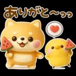 夏にかわいい♡豆柴日和