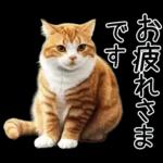 リアルな猫の敬語