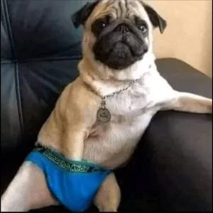 BUMACHO Kids - getsticker.com