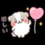 ふわふわシーズー 3歳児