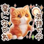 毎日送りやすい茶トラのスタンプ♡