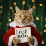 catnatal