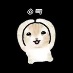 작아요 고먕이