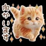 毎日送りやすい茶トラのスタンプ♡