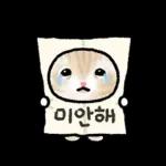 작아요 고먕이