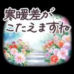 秋冬 京都 でか文字 水彩✿大人上品お花