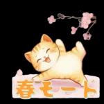 ぽかぽか春ねこライフ