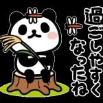 秋＊動くぶなんなパンダ